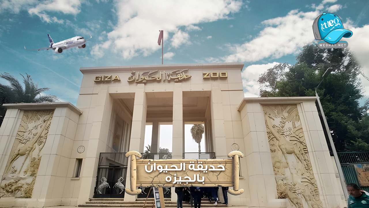 حديقة الحيوان بالجيزة,هل حديقة الحيوان مفتوحة الآن,مواعيد حديقة الحيوان,سعر تذكرة حديقة الحيوان,هل تم غلق حديقة الحيوان 2026 حديقة الحيوان بالجيزة
