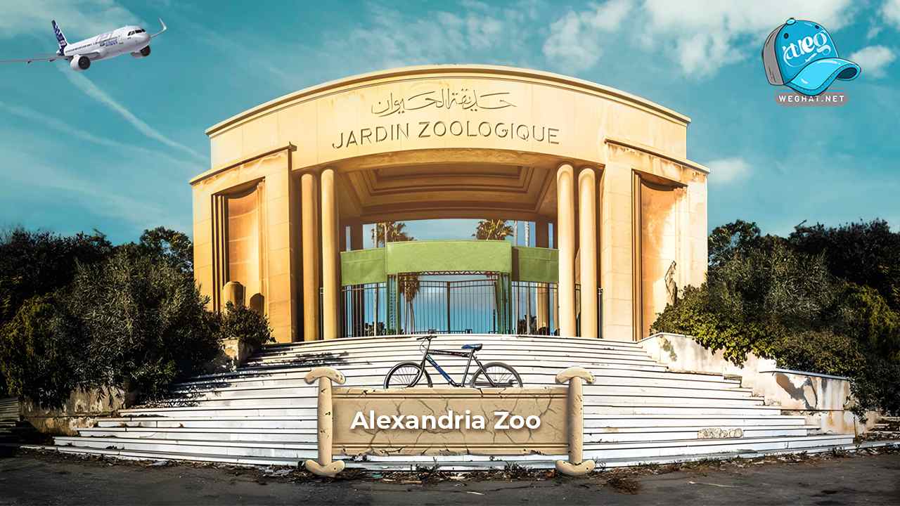 Alexandria Zoo 2026 Alexandria Zoo